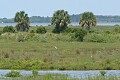 Merritt Island NWR