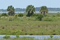 Merritt Island NWR