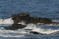 Pescadero Beach