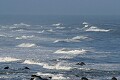 Pescadero Beach