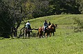 Sunol Regional Park - March 2, 2003