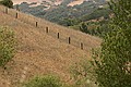 Almaden Quicksilver Park - May 22, 2004