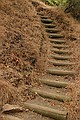 Alum Rock Park - June 19, 2004<br />Steps