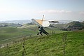 Hang glider - Ed Levin County Park