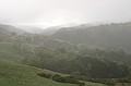 Monte Bello Ridge