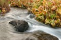 McCloud River