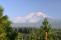 Mount Shasta from Ski Park Highway