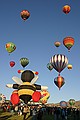 Sailing away - Great Reno Balloon Race