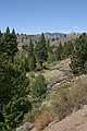 East Carson River - Ebbitts Pass