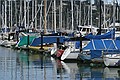 Sausalito marina