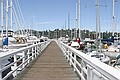 Sausalito marina