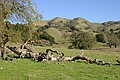 Sunol Regional Park