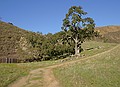 Sunol Regional Park