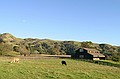 Sunol Regional Park