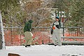 Jeff, Matt and Sebastian play snow football