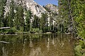 Glen Aulin and the Tuolumne River