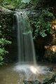 Semperviren Fall, Big Basin State Park