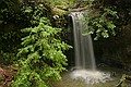 Sempervirens Falls