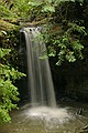 Sempervirens Falls