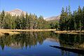 Reflection of Mount Dana (elev. 13,057 feet)