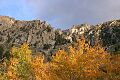 Mono Lake and Eastern Sierra - October 7-9, 2005