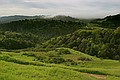 Monte Bello Ridge - April 2, 2005