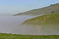 Monument Peak Fog