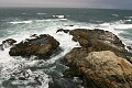 Tomales Point, Point Reyes National Seashore