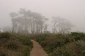 Pierce Ranch, Point Reyes National Seashore