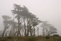 Pierce Ranch, Point Reyes National Seashore