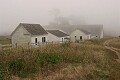 Pierce Ranch, Point Reyes National Seashore