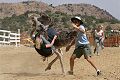 Ostrich Races - Virginia City, Nevada 