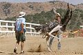 Ostrich Races - Virginia City, Nevada 