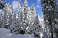 Sierra-at-Tahoe, El Dorado National forest