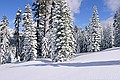 Sierra-at-Tahoe, El Dorado National forest