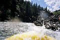 Snake River Rafting