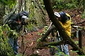 Photographers in the rain - Big Basin State Park