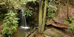 Sempervirens Fall - Big Basin State Park