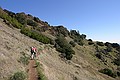 Trail to Devil's Pulpit