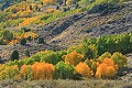 June Lake Loop and Lundy Canyon - October 7, 2006
