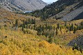 Lundy Canyon - October 8, 2006
