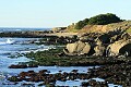 Pebble Beach - San Mateo Coast State Beaches