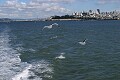 San Francisco from the Bay