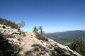 Trail to Big Baldy
