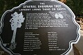 General Sherman Tree