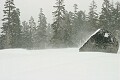 Wind and snow - Sierra-At-Tahoe 