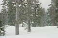 Wind and snow - Sierra-At-Tahoe 