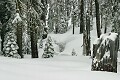 Deep snow - Sierra-At-Tahoe