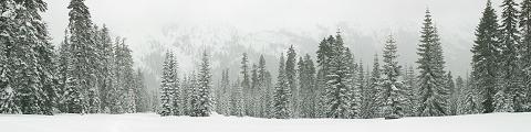 Panorama from Sierra-At-Tahoe Snowshoe Hike