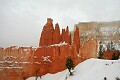 Hoodoos and Bryce Point